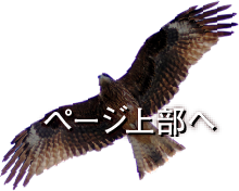 ページトップへ