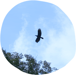 ふるさと村 空