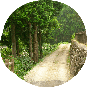 ふるさと村 山道