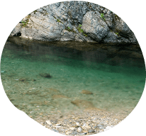 ふるさと村 四郷川渓流