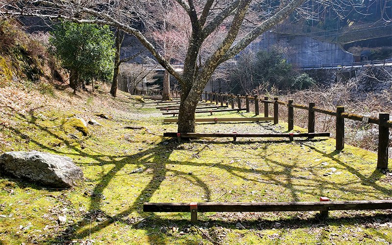 A区画(全13区画)
